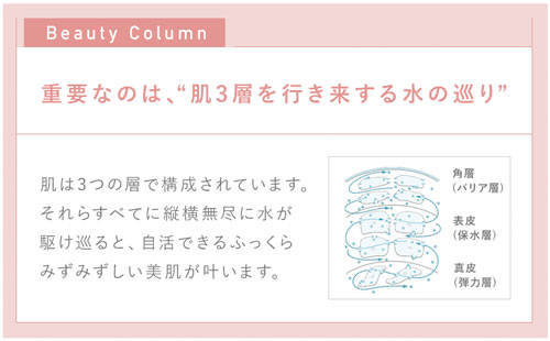 肌の水分循環