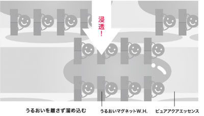うるおいマグネットW.H.